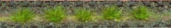 HEK1801 - 100 Tufts of summer grass 6 mm