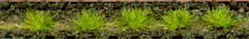 HEK1800 - 100 Tufts of spring grass 6 mm