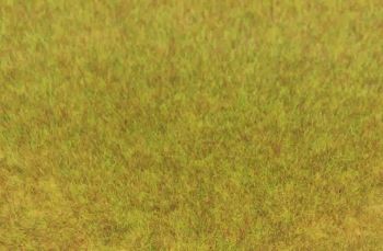 HEK3371 - Bag 75 g of wild autumn grass 5-6 mm