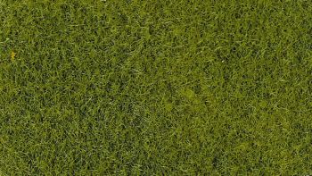 HEK3364 - 50 g bag of 2-3 mm light green flocking