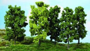 HEK1990 - 5 Deciduous trees 18 cm