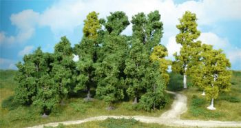HEK1951 - 14 Deciduous trees 5-12 cm