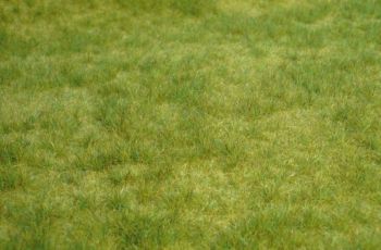 HEK1841 - Wild spring grass - 45 x 17 cm
