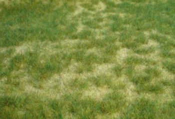 HEK1842 - Wild summer grass carpet 45 x 17 cm