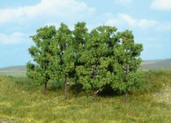 HEK1999 - 6 Alders 8 cm
