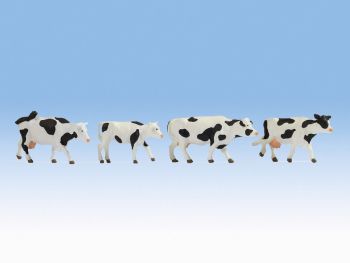 NOC17900 - Black and white cows