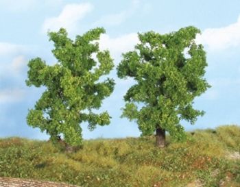 HEK19101 - 2 pear trees 14 cm