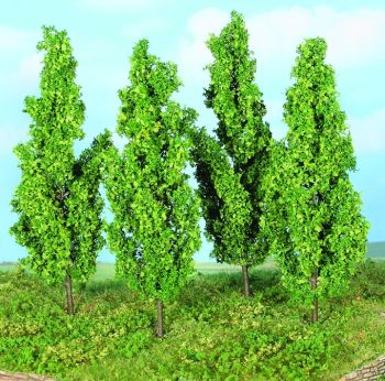 HEK19110 - 4 Poplar trees 13 cm