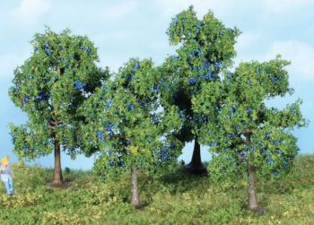 HEK19114 - 4 plum trees 6 to 9 cm
