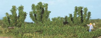 HEK19126 - 8 Bushes and hedges 0.7-5 cm