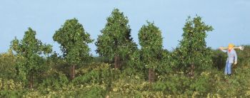 HEK19130 - 5 Deciduous trees 4 cm