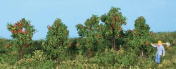 HEK19131 - 5 apple trees 4 cm