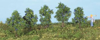 HEK19132 - 5 plum trees 4 cm