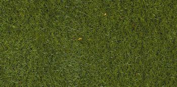 HEK3365 - 50 g bag of medium green flocking 2-3 mm