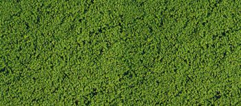 HEK1601 - Flocking foam medium green 14x28 cm