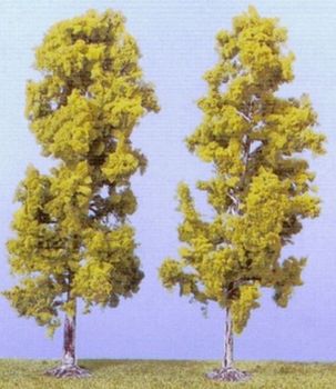 HEK1135 - 2 Birch trees 18 cm