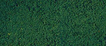 HEK1603 - Pine green flocking foam 14x28 cm