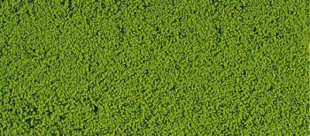 HEK1600 - Flocking foam light green 14x28 cm