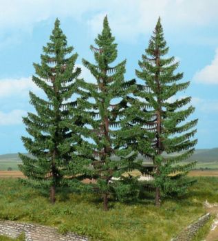HEK2129 - 3 mountain spruce trees 20 cm