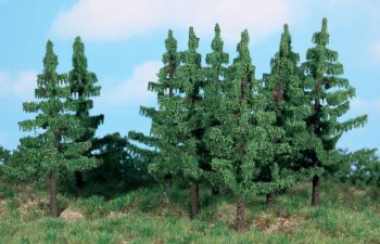 HEK2139 - 10 spruce trees 12 cm