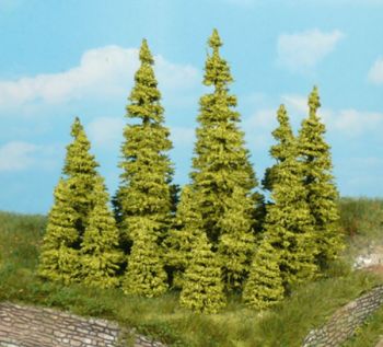 HEK2145 - 10 larch trees 5 cm
