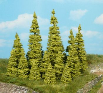 HEK2146 - 9 larch trees 5-7 cm