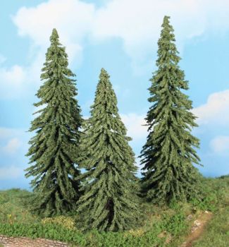 HEK21800 - 3 weathered spruce trees 18-22 cm