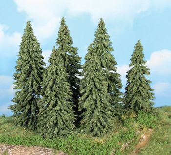 HEK21801 - 6 weathered spruce trees 14-18 cm