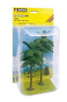 NOC21972 - 2 Palm trees, 15 and 19 cm