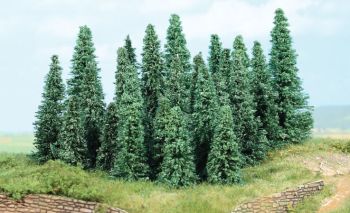 HEK2236 - 20 silver fir trees 5-9 cm