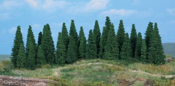 HEK2240 - 30 fir trees 4-7 cm