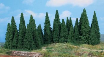 HEK2241 - 35 fir trees 5-12 cm