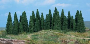 HEK2242 - 20 fir trees 9-14 cm