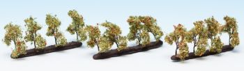 NOC21532 - Planting trees with apples
