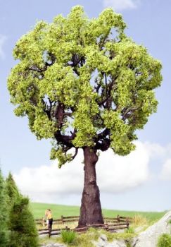NOC21761 - Oak 19 cm