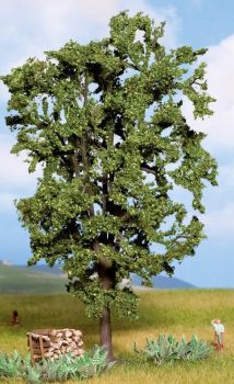 NOC21800 - Chestnut 19 cm