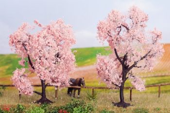 NOC21996 - 2 almond trees 8 and 9 cm