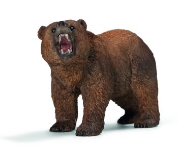 SHL14685 - Grizzly Bear
