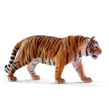 SHL14729 - male bengal tiger