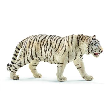 SHL14731 - male white tiger