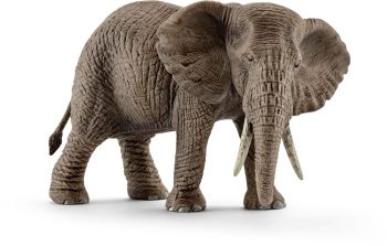 SHL14761 - African Elephant