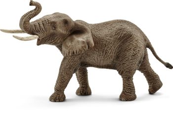 SHL14762 - Male African elephant