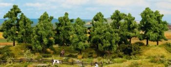 NOC24603 - 16 Deciduous trees 4 to 10 cm