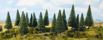 NOC24641 - 16 Christmas trees 10 to 14 cm