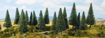 NOC24642 - 6 Christmas trees 14 to 18 cm