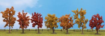 NOC25070 - 7 Autumn trees 8 to 10 cm
