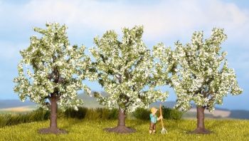 NOC25111 - 3 Fruit trees . white flowers 8 cm