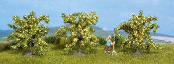 NOC25115 - 3 lemon trees 4 cm