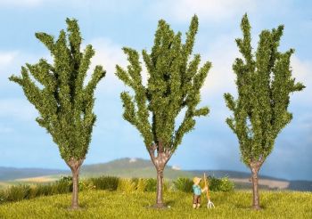 NOC25140 - 3 Poplars 12 cm