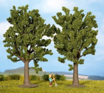 NOC25170 - 2 Beeches 13 cm